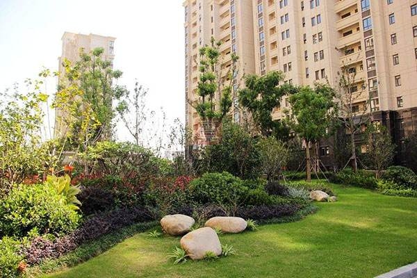 園林景觀的反季節種植技術